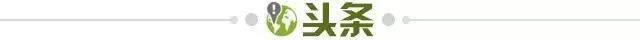必一运动官方网站-【早报】曾被全村嘲讽的全村希望，成了全村的保障！